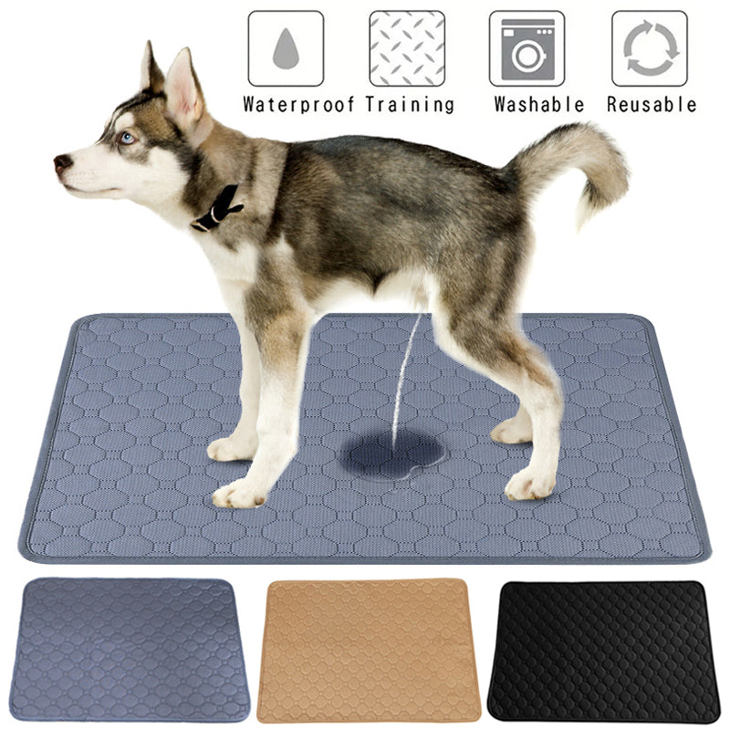 26ad2d7f384a75757e5ddaaf5b6208f1